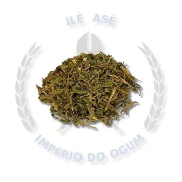 Imagem de Ervas secas - catinga de mulata - Nacional