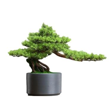 Imagem de Árvores Artificiais Plantas Bonsai Artificial com Vaso Redondo Decoração de Plantas Aquáticas Interiores para Sala de Estar Hotel Escritório Plantas Artificiais Bonsai