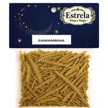 Imagem de Erva Samambaia na Umbanda e Candomblé  Limpeza  Proteção  Renovação Es