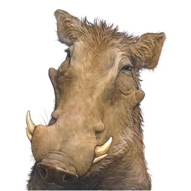 Imagem de Warthog Journal: Lined Notebook and Journal for Kids