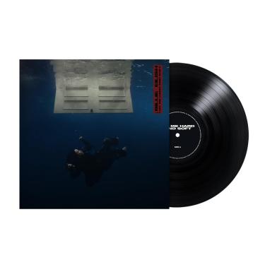 Imagem de HIT ME HARD AND SOFT[Recycled Black LP]