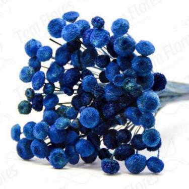 Imagem de 200 Botão Desidratado Sempre Viva Flores Secas - Pense Flores, Azul