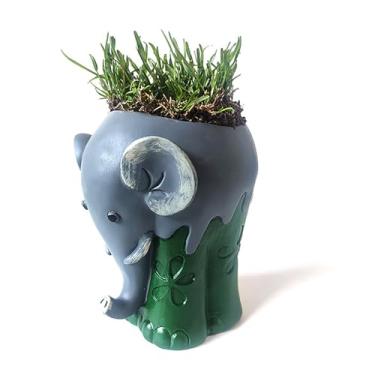 Imagem de Quanmin Vaso redondo para suculentas, vaso de flores, resina, enfeite decorativo criativo para plantas de ervas de jardim interno e externo