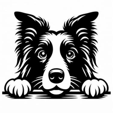 Imagem de Arte Decorativa Pet 3D para Parede, Dog Friendly, Cão, Quadro Cachorro, Shih Tzu, Labrador Retriever, Poodle, Pit Bull e Vira-Lata e Muito Mais, Preto, 23x23cm, Plástico Ecológico, Fita 3M, Confira Modelos (Border Collie)