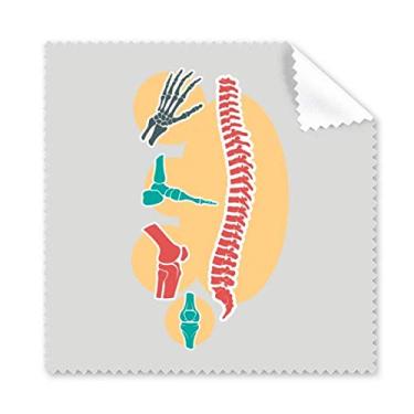 Imagem de Pano de limpeza para ilustração de estrutura de esqueleto espinhal limpador de óculos 5 peças