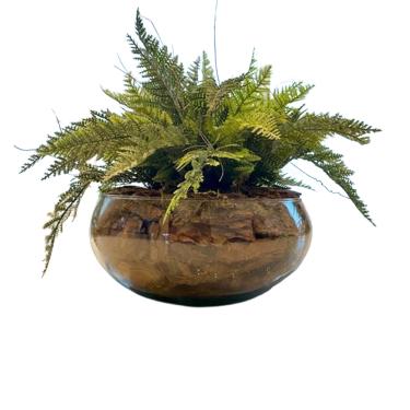 Imagem de Arranjo Completo de Samambaia Centro de Mesa Grande  Vaso de Vidro