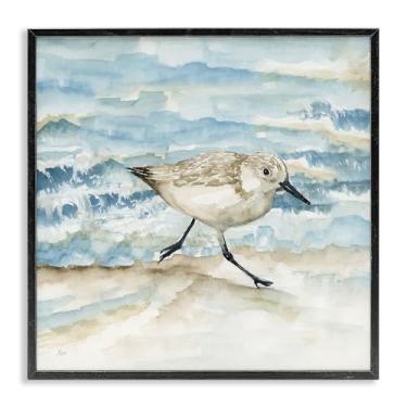 Imagem de Stupell Industries Arte giclée emoldurada preta Sandpiper Striding Shore, design por Nan, 12 x 12