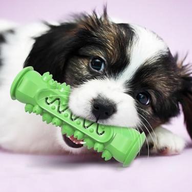 Imagem de Brinquedos para Cães para Mastigadores Agressivos, Mordem Imune Interativo Alívio de Tensão de Dentes de Dentes Mastigar Brinquedo, Ajudar Os Animais a Queimar Energia