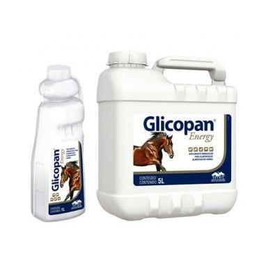 Imagem de Glicopan Energy 1 Lt - VETNIL