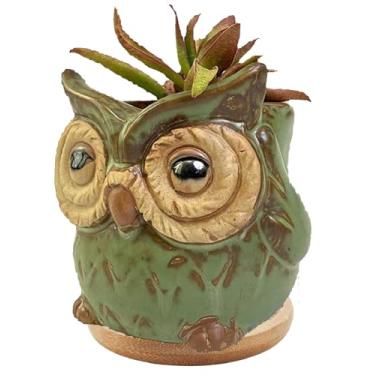 Imagem de WENDIN Lindo vaso de cerâmica para suculentas, pequeno vaso interno em forma de animal, lindos vasos de flores de cacto com drenagem para mesa de escritório e decoração de jardim doméstico (coruja)