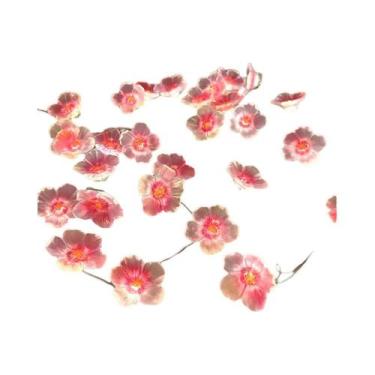 Imagem de Cordão De Luzes De Fada Flor De Cerejeira 30 LEDs, Alimentado Por Bate