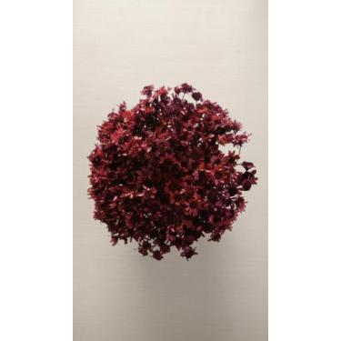 Imagem de Flores Desidratadas 500 Un. Marsala Decoração Natural - Congratulation