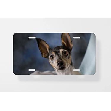 Imagem de Capa para placa de carro Portrait of A Toy Fox Terrier em azul - Capa para placa de carro - Capa para placa de carro 15 x 30 cm