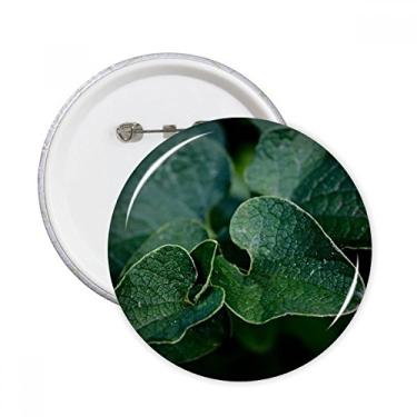 Imagem de Imagem de planta de folhas escuras, detalhes redondos, emblema, botões, decoração, 5 peças, presente
