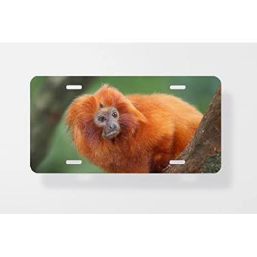 Imagem de Capa para placa de carro macaco tamarin pequeno dourado – Capa para placa de carro – Capa para placa de carro 15 x 30 cm