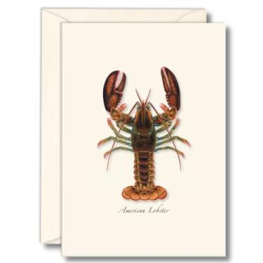 Imagem de Earth Sky + Water – Conjunto de cartão lagosta – 8 cartões em branco com envelopes