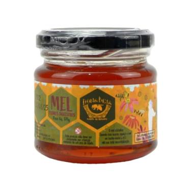 Imagem de Mel Puro Flores Silvestre 170g Mel de Abelha Dona Beia