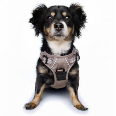 Imagem de Doggie Design Venture Paw Peitoral para cães - Peitoral simples ajustável para filhotes - Coleira antipuxão para cães para caminhadas e aventuras ao ar livre - Mountain Lake, P