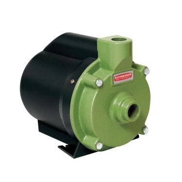 Imagem de Motobomba Centrífuga Schneider Bcr-2010 3/4 Cv 220 Volts