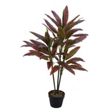 Imagem de Planta Árvore Artificial Dracena Real Toque C/Pote X49 Vermelho 1,1m -
