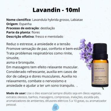 Imagem de Difusor Elétrico Porcelana Via Aroma e Óleo Essencial - Escolha seu Ól