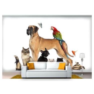 Imagem de Papel De Parede Pets Cão Gato Papagaio 3D Anm111 - Você Decora