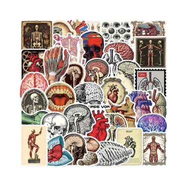 Imagem de Adesivos De Anatomia Médica De Órgãos Humanos Em Estilo Cartoon, 50 Pe