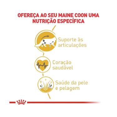 Imagem de Ração Seca p Gatos Adultos Maine Coon Royal Canin 4 Kg