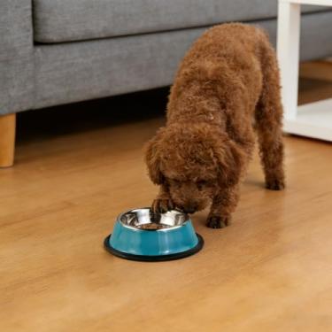 Imagem de Tigela de aço inoxidável para cães, antiderrapante para alimentos para animais de estimação, tigela de água para gatos e cães pequenos, tigelas portáteis para lanches (azul)