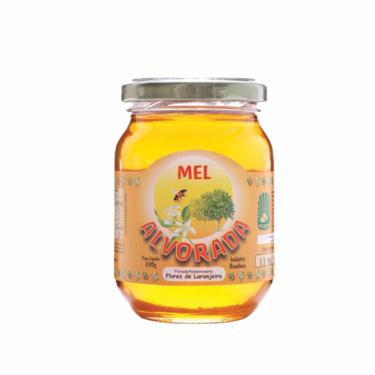 Imagem de Mel de Laranjeira Alvorada 330g