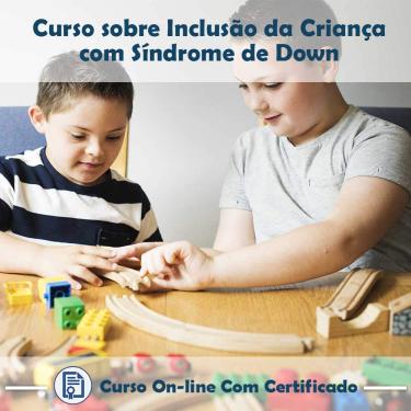 Imagem de Curso online em videoaula sobre Inclusão da Criança com Síndrome de Down com Certificado + 2 brindes