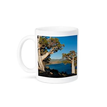 Imagem de 3dRose Buffalo Traverses Mammoth Hot Springs, Yellowstone NP, Caneca Wyoming, 425 g