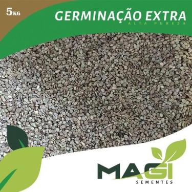 Imagem de Sementes de grama batatais (mato grosso) - Magi Sementes, 5 kg