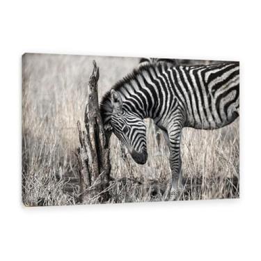 Imagem de Imagens de animais em preto e branco para decoração de parede Imagem de animal zebra com cabeça para baixo pensando impressão imagem de cavalo pintura de arte de parede zebra decoração de parede para