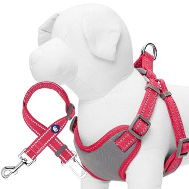 Imagem de Blueberry Pet Essentials Conjunto de arnês refletivo de cor pastel, colete e cinto de segurança em cor muito fruta, peitoral ajustável com cinto de segurança durável para carro e veículo para cães