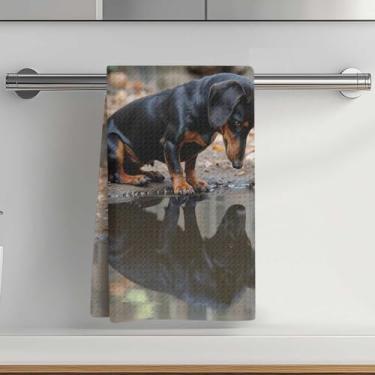 Imagem de Toalhas de cozinha com estampa de dachshund fofas 35 x 61 cm, toalha de prato decorativa de microfibra absorvente, toalhas de mão de waffle para cozinha, casa, banheiro, presentes para amantes de cães