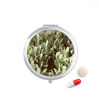 Imagem de Sunshine Leaves — Caixa de armazenamento de medicamentos com imagem de plantas