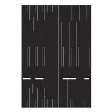 Imagem de Tapete para sala de estar decoração de casa moderno minimalista preto grande área quarto tapete abstrato listrado moda vestiário tapete, A, 220x330cm