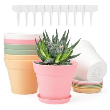 Imagem de GREANER Vasos de flores pequenos de 10 cm, vasos coloridos espessos com drenagem, mudas de plástico, vasos de berçário para plantas, violeta, suculentas, flores de jardim (pacote com 8)