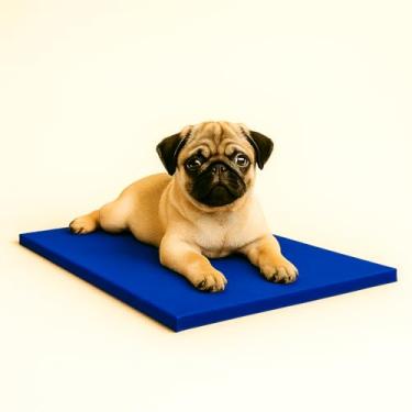 Imagem de Colchonete Impermeável para Cães, 70x50cm, Espuma Compacta, Capa Removível, Multicolorido, Uso Interno e Externo (Azul royal)