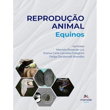 Imagem de Reproducao Animal - Equinos