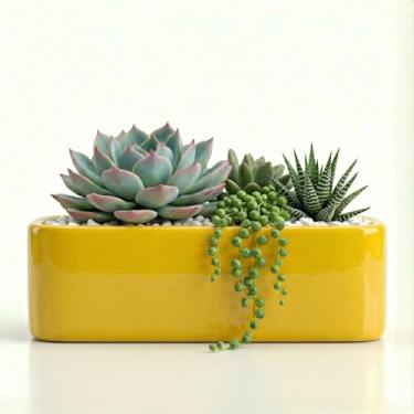 Imagem de Genérico Vaso Redondo para Plantas, Uso Interno, Tamanho M, Preto, Cimento, Texturizado com Relevo, Formato Redondo, Chão, Vaso de Planta, 15x12x11 cm