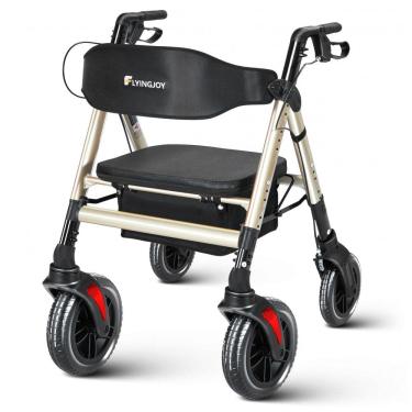 Imagem de Andador para Idosos e Adultos com Assento, até 200 Quilos, FlyingJoy, Champanhe