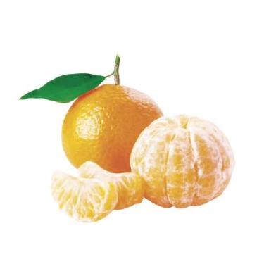 Imagem de Muda Frutífera de Tangerina Murcott Enxertada - AgroJardim