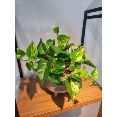 Imagem de Arranjo Jiboia com Vaso Fendi mod. 1112 - FLORESCER DECOR