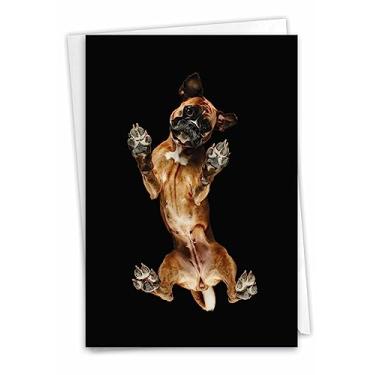 Imagem de The Best Card Company - Cartão I Miss You com envelope - Cartão de notas de cachorro fofo, pensando em você - Boxer Big Under Dog C7187AMYG