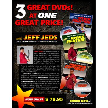 Imagem de Beginners Guide to Stick Fighting, Knife Fighting and Unarmed Combat