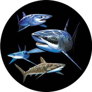 Imagem de Capa Para Estepe Ecosport Crossfox Aircross Tubarões