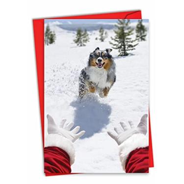Imagem de NobleWorks - Funny Animal Christmas Greeting Card with 5 x 7 Inch Envelope, Xmas Winter Holiday Humor Pet Dog for Men and Women and Pet lover (1 Card) - Santa Dog C7669XSG