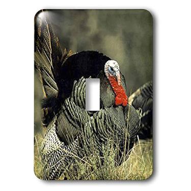 Imagem de 3dRose Wild Turkey Gobbler – Interruptor de interruptor único (lsp_744_1), varia